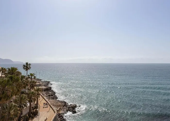 Large One Bed Nerja
